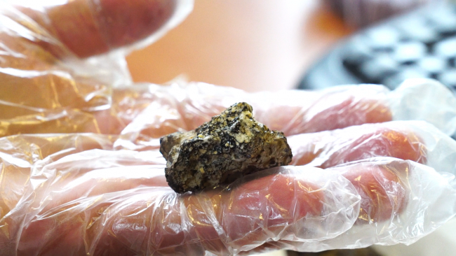 Fotoğraf: TRT Haber